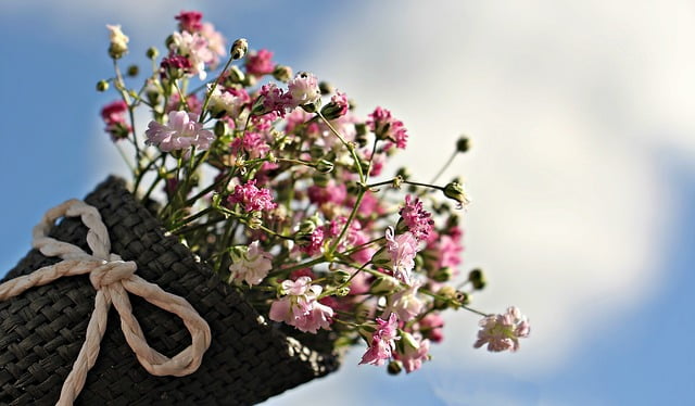 flowers 1716747 640
