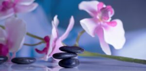 massage 599532 1920
