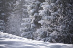 snow 7641544 1280