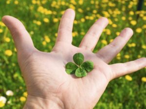 Виж какво късметче ще ти се падне за 12.05.2024г 14 lucky clovers 2 1024x768 1