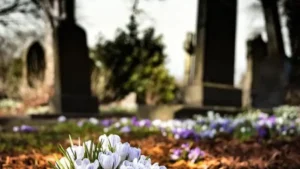 Не правете тези неща на гробище, ще събудите душите на мъртвите