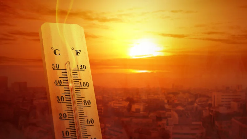1721843503 red