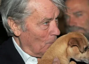 kyche alen delon jelanie 750x536.jpg