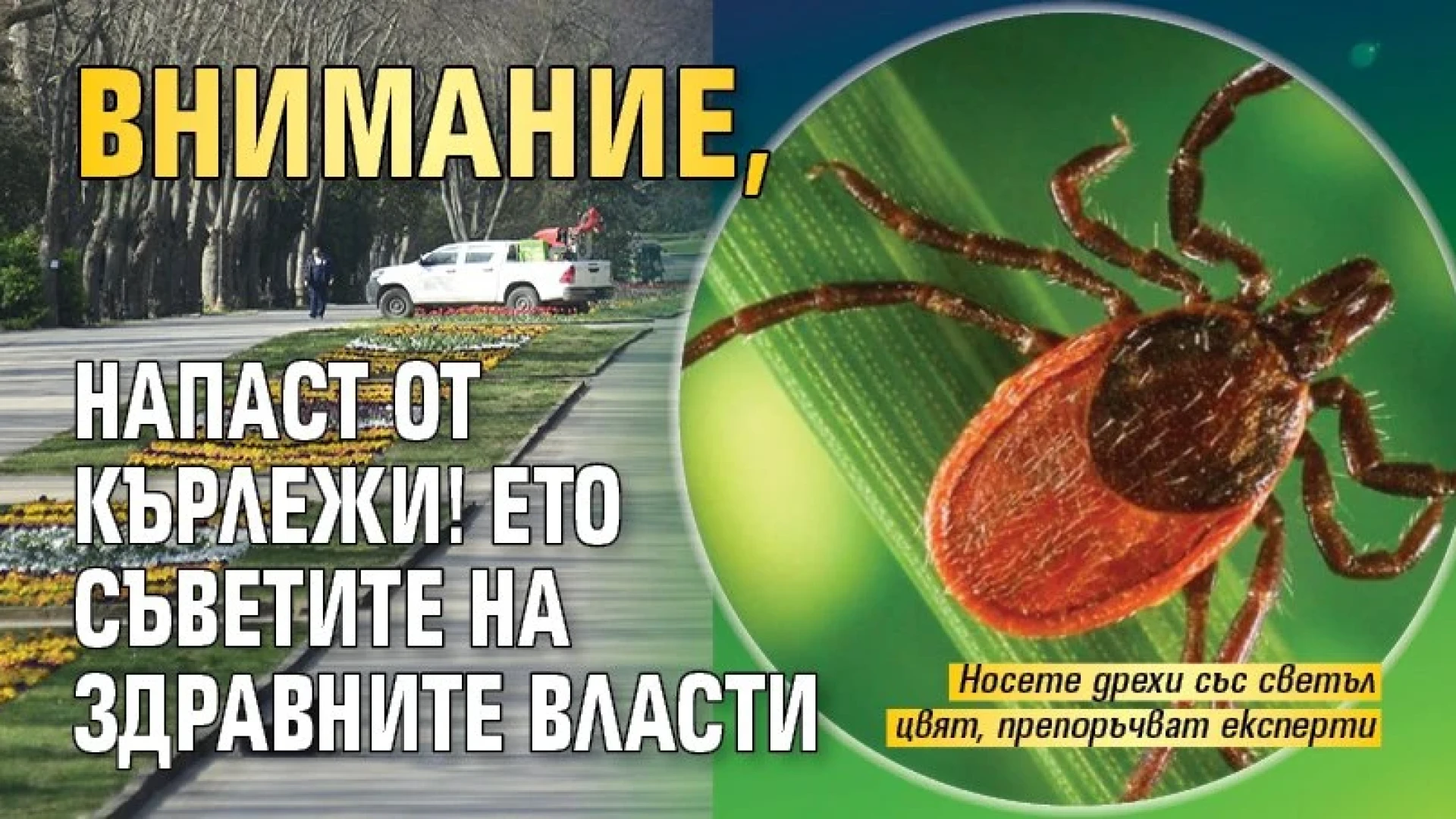 Страшна напаст, не пускайте децата си навън, опасно е! 4 1742741762 c3c21225b4096709d6e580b0205176c6