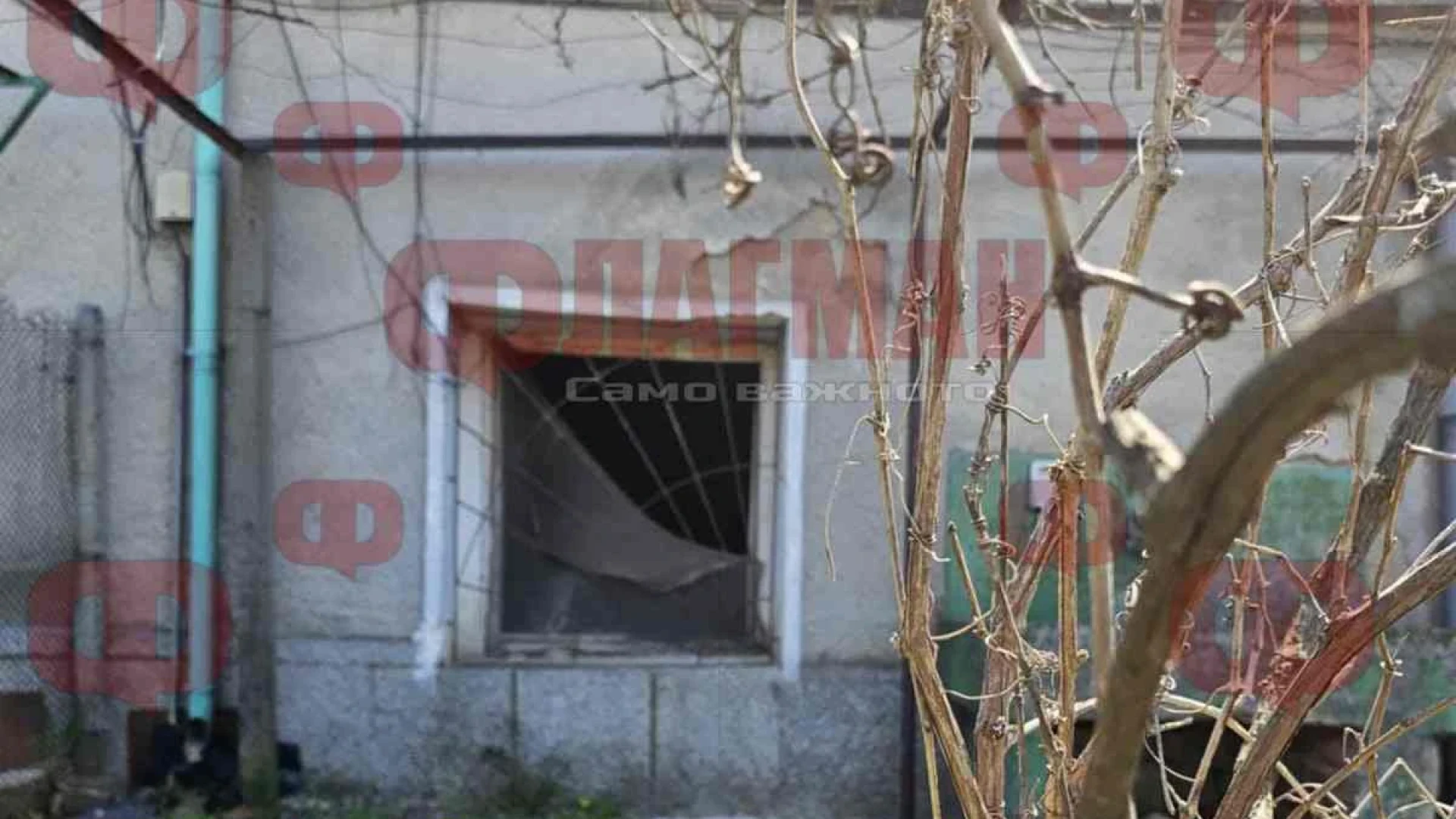 Извънредно: Ето коя е жената, изгоряла жива в дома си СНИМКИ 3 1745334401 174532295442439