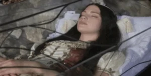 Камера в ковчег засне година и половина. Видяното показа неподозирани неща: 28 image 716 650x330 1.png