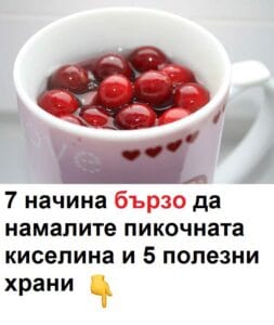 503715788 1380155310340782 1632127664373704613 n