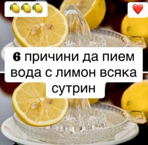 505316216 1159209172906498 1725707853430510338 n