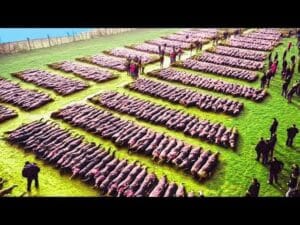 Ако дронът не беше заснел ТОВА, никой нямаше да повярва! Това се случва веднъж в живота! 2 505519883 733574242349144 7998271032937408222 n 1