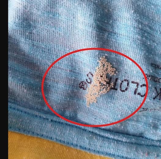 506457006 735848948788340 3556147308759023979 n