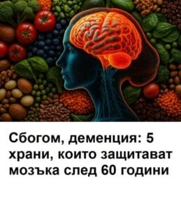 506593913 1389816596041320 1978824742075343182 n
