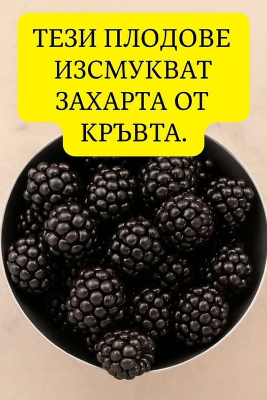 506614525 733544362352132 5447667510697296808 n