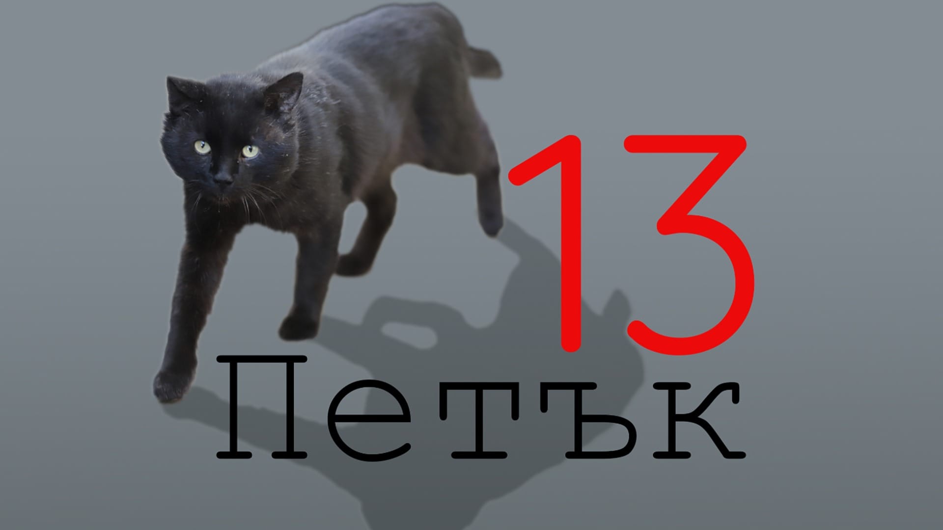На петък 13-ти: Поне няколко черни котки ще минат път на Близнаци, Водолей + още 2 зодии! 5