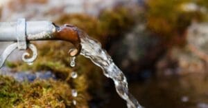 Тази нощ небето се отваря, прави се Мълчана вода за сбъдване на желанията, ето как да постъпите в нощта преди Еньовден! - 6 m 060df9540e0e4a06c0f21bf31ce43cc3 1