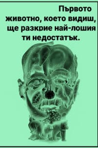 untitled project 12