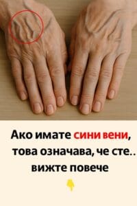 515261633 750067814033120 3043774878736462830 n