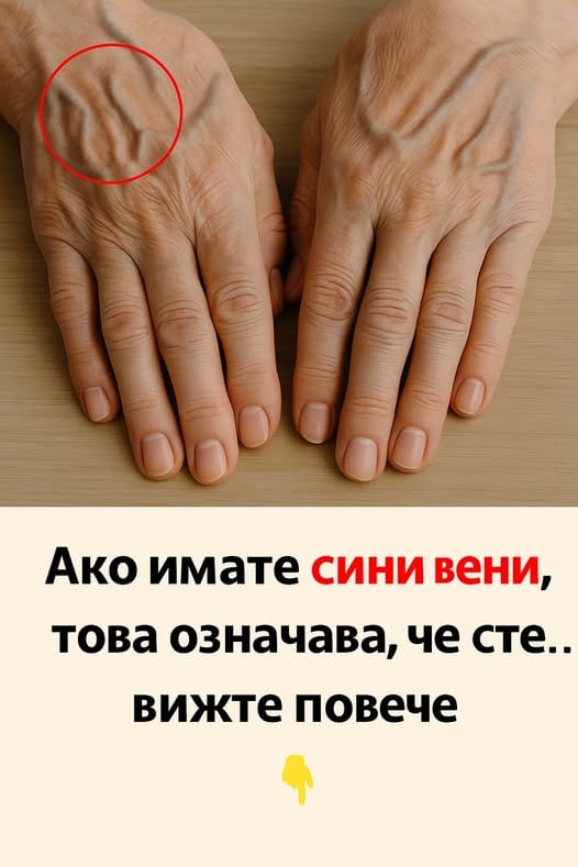 515261633 750067814033120 3043774878736462830 n