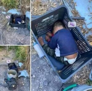 Това приблизително 2-годишно момченце беше открито… 2 517181027 723528563769495 629176