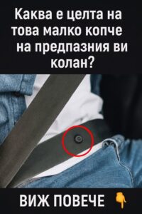 518397530 761582746214960 5213132585284462039 n