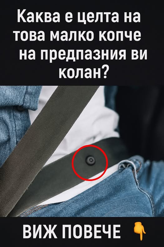 518397530 761582746214960 5213132585284462039 n