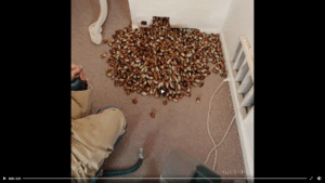 521205256 675122222238196 7233789487051379779 n