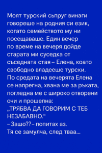 Моят турски съпруг винаги говореше на родния си език, когато семейството му ни посещаваше. Един вечер по време на вечеря дойде... 18 chatgpt image 29.07.2025 g. 14 27 25
